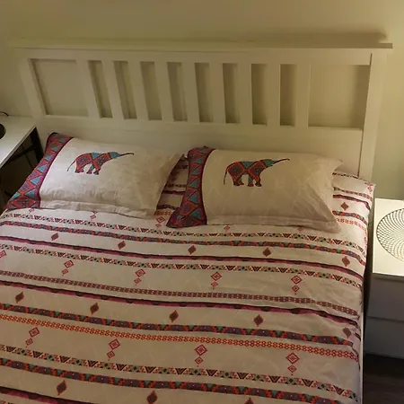 Shared Center Of The Istanbul, Metro 3 Mnt בית אירוח