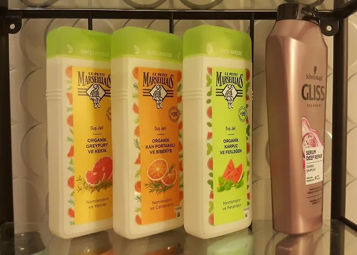 Shared Center Of The Istanbul, Metro 3 Mnt * Istanboel